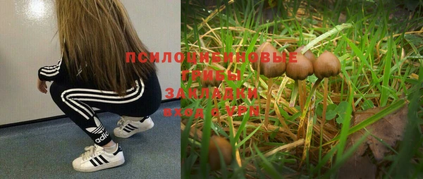 молекула духа Тихвин